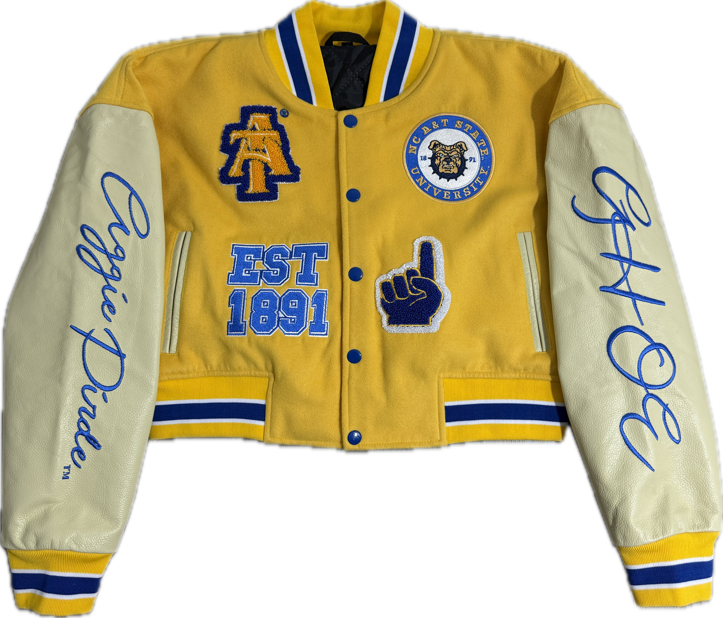 North Carolina A&T University Cropped Letterman